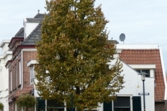 24-P1060361